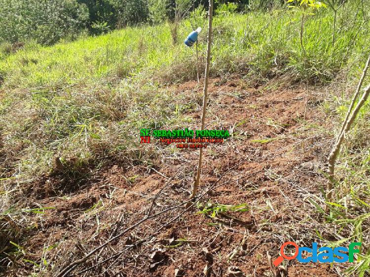 Chácara com escritura em Paraibuna