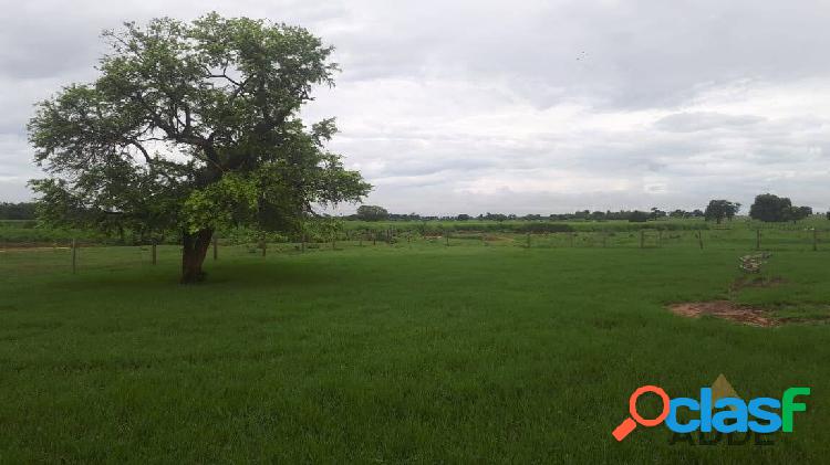 Fazenda em Januária MG