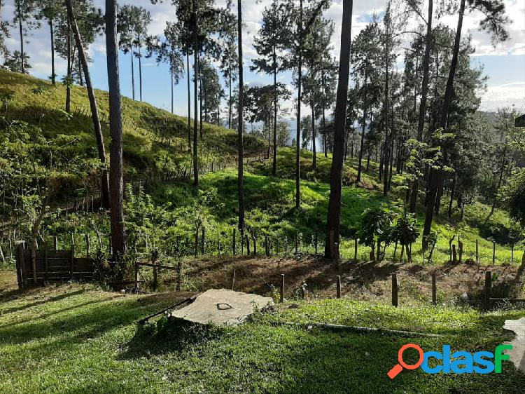 Se Vende Finca en Miranda