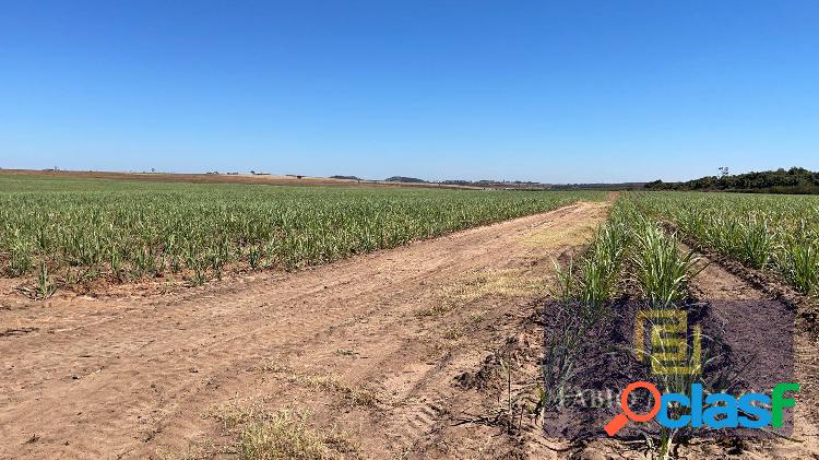 Fazenda a Venda em São Pedro SP Área Rural