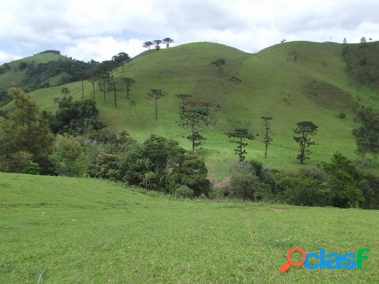 Sitio em Piranguçu divisa com Campos do Jordão