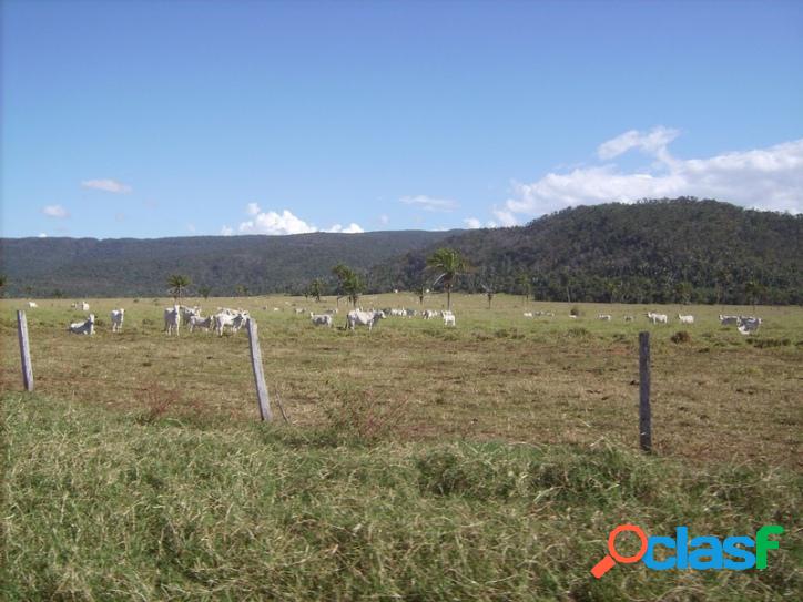 FAZENDA COM 14.400 HECTARES EM PONTES E LACERDA-MT