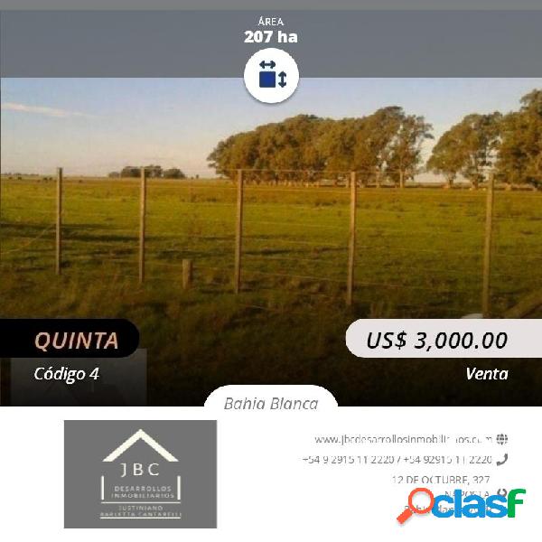 CAMPO MIXTO, VENTA, 207 HECTÁREAS, ZONA INDIO RICO