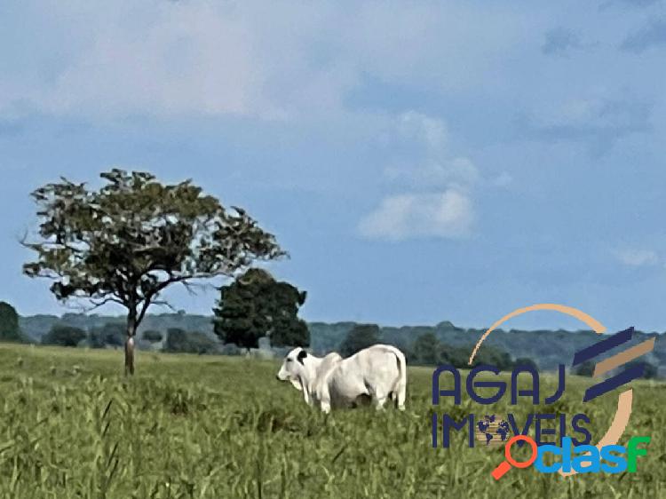 FAZENDA EM JUSSARA-GO | 150 ALQ | PECUÁRIA