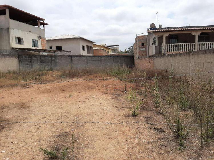 Lote, Tijuca