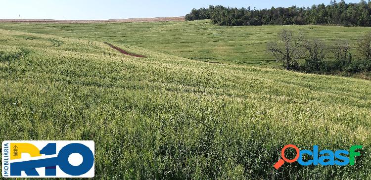 Sítio a Venda com uma área de 15 Alqueires, com