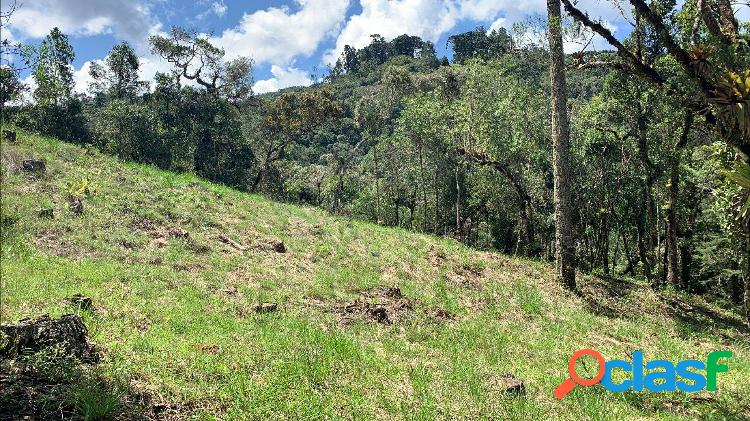 Terreno a venda no Recanto das Araucárias