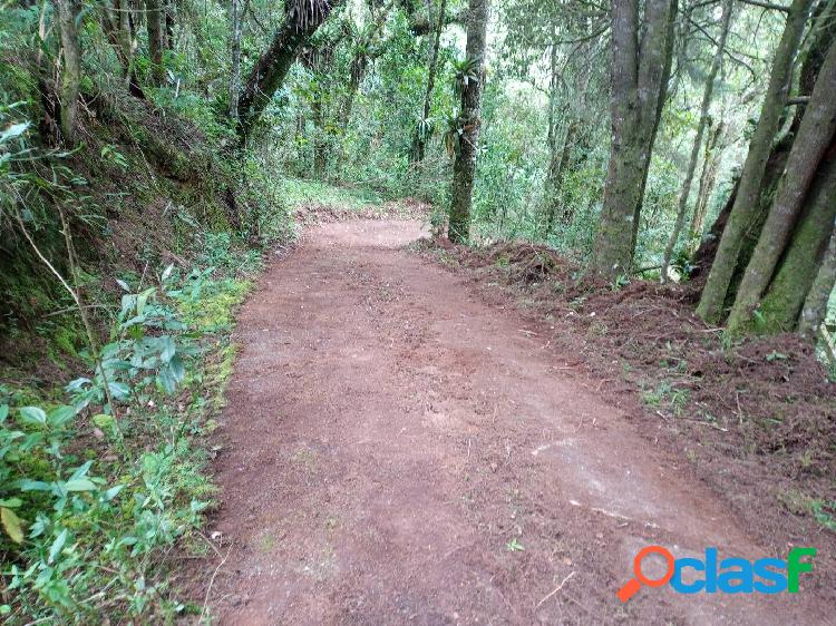 Terreno com mina, riacho nos fundos e projeto aprovado.