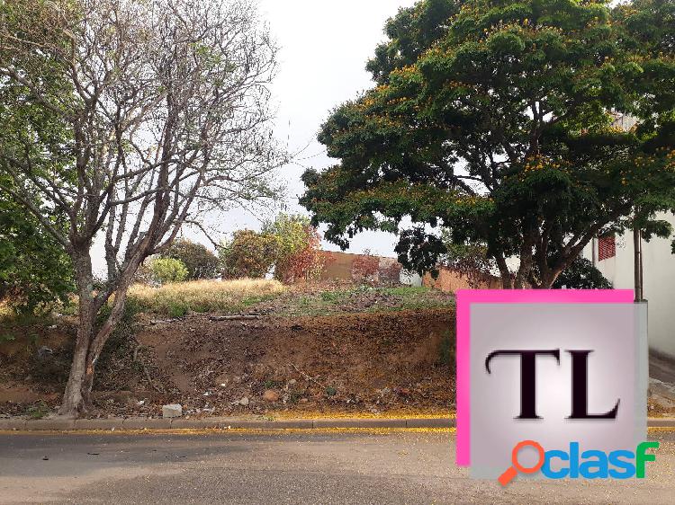 Terreno maravilhoso