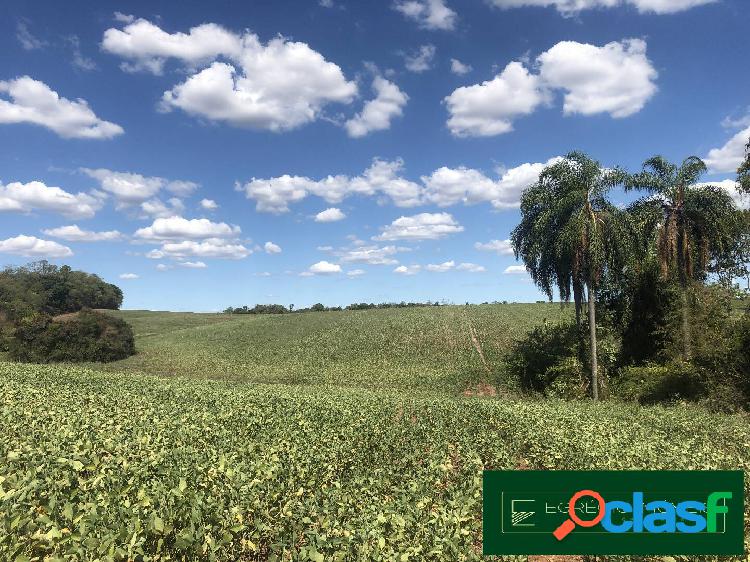 Área de 4 hectares em Cerro Largo-RS