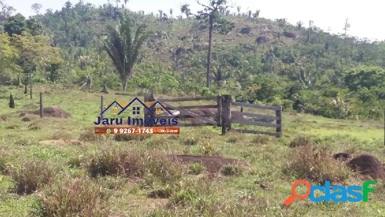 Vende-se 60 alqueires com 48 formados em Monte Negro R$