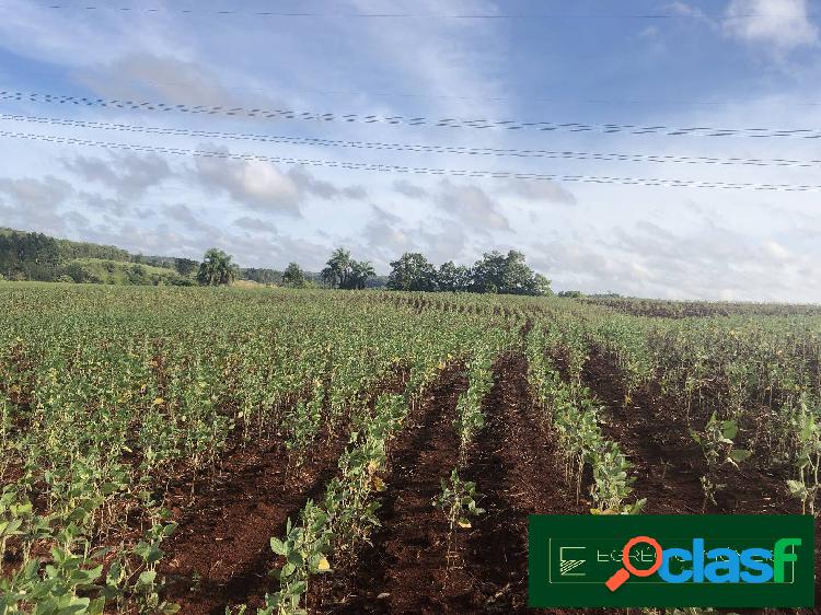 Área de 45 hectares em Guarani das Missões-RS