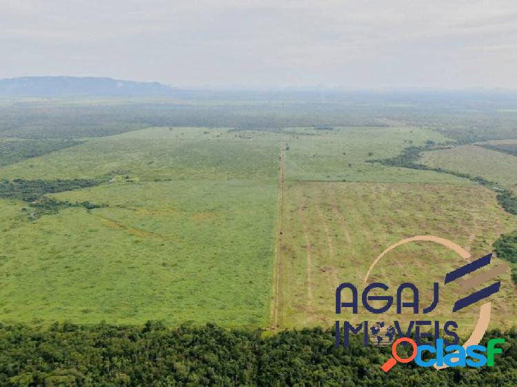 FAZENDA EM SANTANA DO ARAGUAIA-PA | 1.000 ALQ | DUPLA