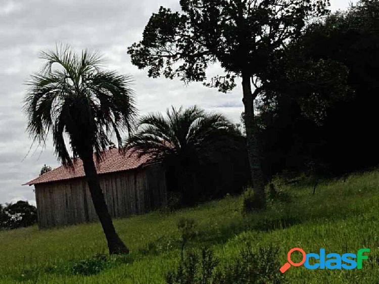 Sítio com 2 Ha, Casa estilo Galpão campeiro 100m2, açude,