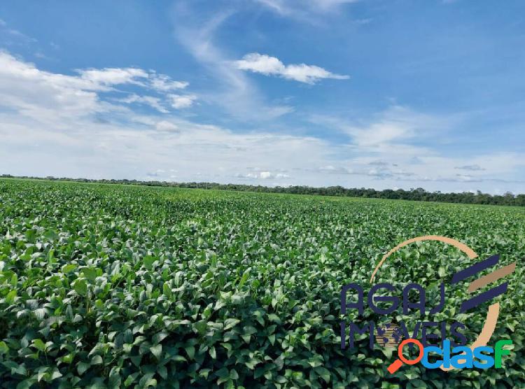 FAZENDA EM BOM JESUS-GO | 41 ALQ | LAVOURA