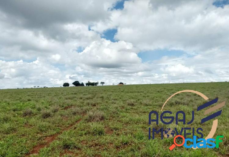 FAZENDA EM GURINHATÃ-MG | 111,8 ALQ | DUPLA APTIDÃO