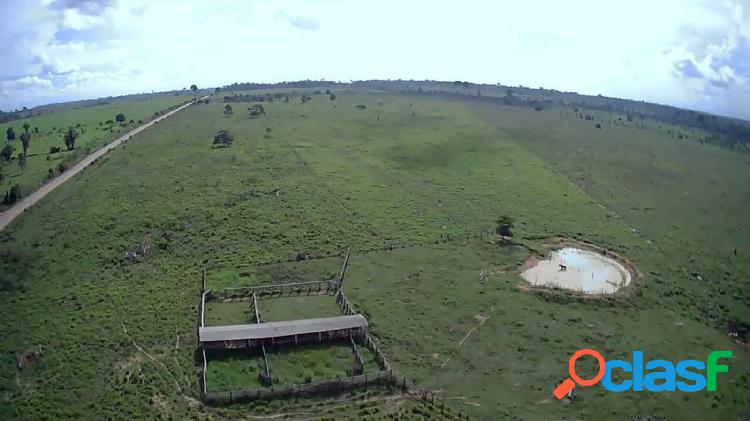 Vende-se fazenda plana de 180 alqueires com 160 de pasto,