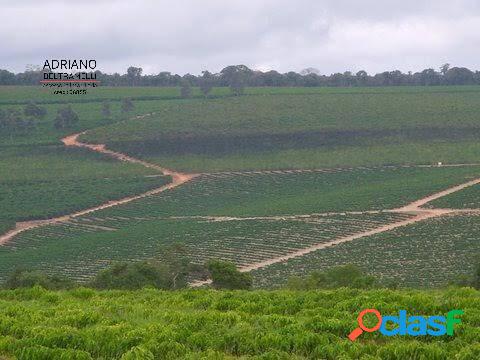 FAZENDA - NOVO CRUZEIRO - MG