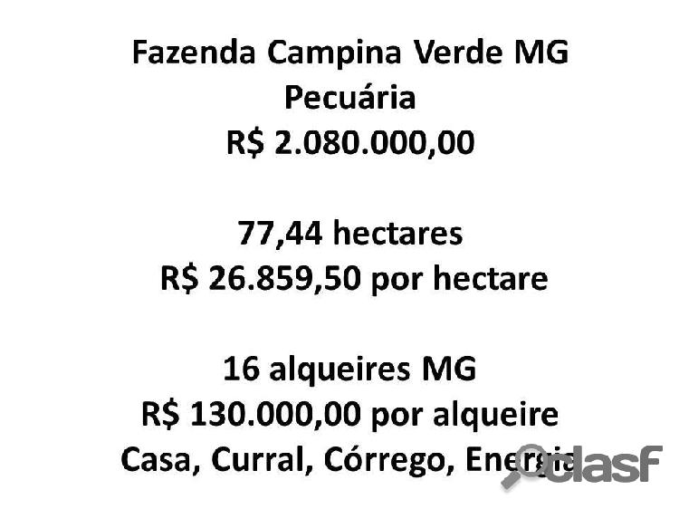 Fazenda Campina Verde MG, 16 alqueires 77,44 hectares,