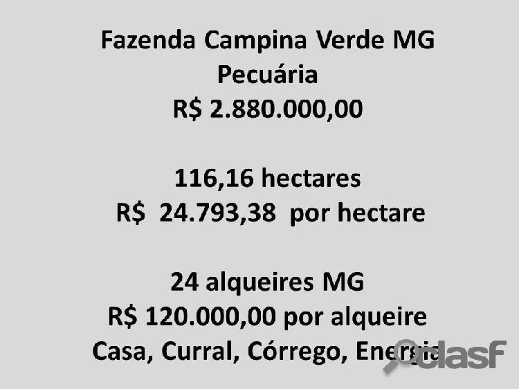 Fazenda Campina Verde MG, 24 alqueires 116,16 hectares,