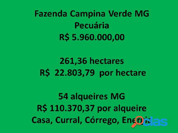 Fazenda Campina Verde MG, 54 alqueires 261,36 hectares,