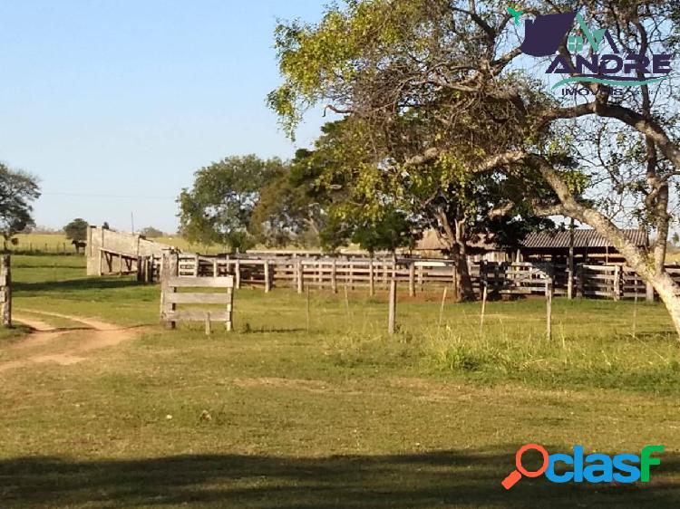 Fazenda, 198 alqueires, na região rural de Presidente