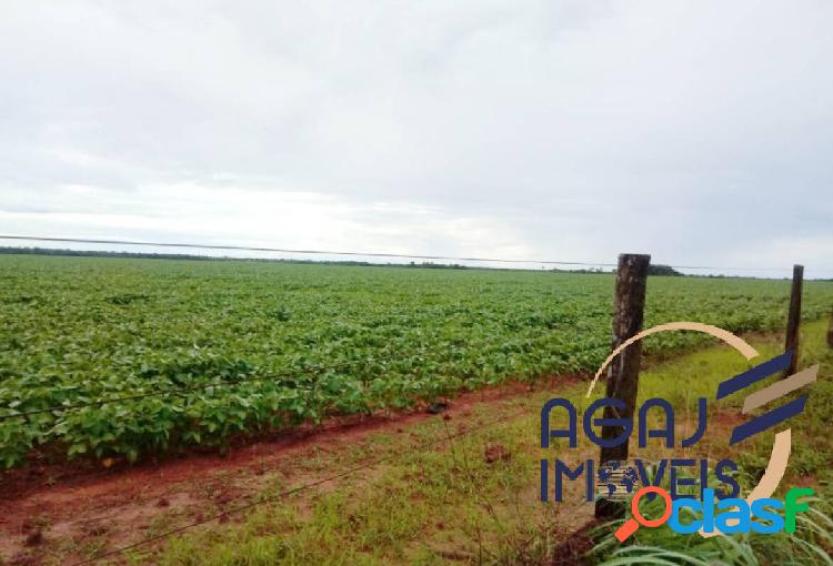 FAZENDA EM TALISMA-TO | 221 ALQ | LAVOURA