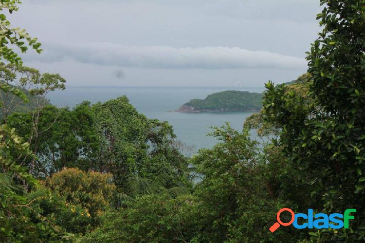 Terreno praia da Almada em Ubatuba