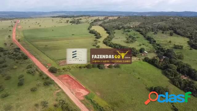 Fazenda Extra - Para investimento | 33 Alqueires | 25km