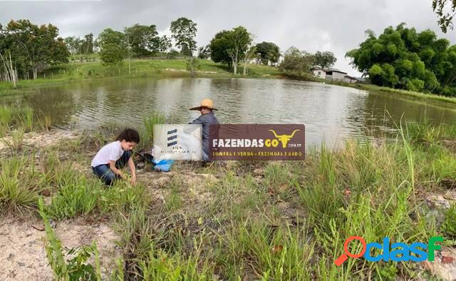 Fazenda Oportunidade - 18 Alqueires | Região Goiás