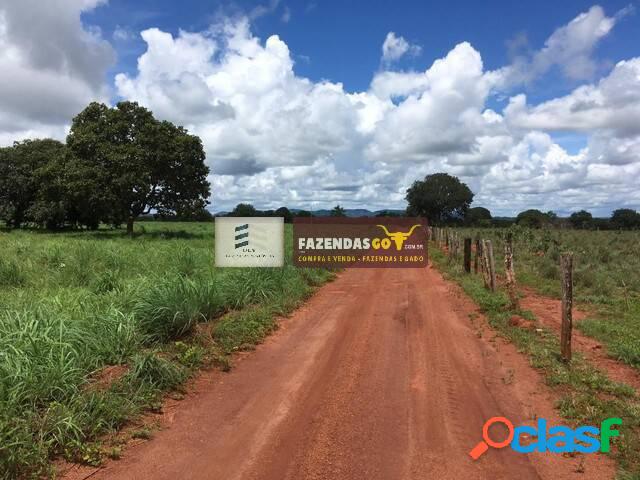 Fazenda de Oportunidade - Região de Porangatu-GO