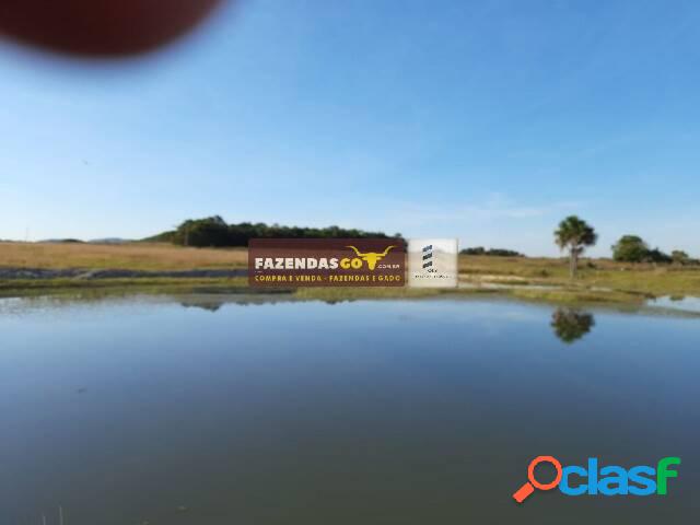 Fazenda de Oportunidade em Crixas-GO com Mozarlândia-GO.
