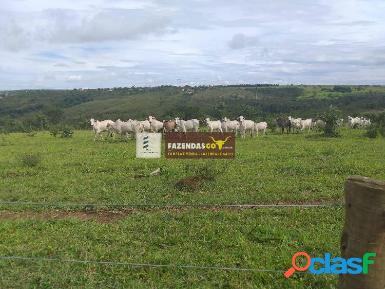 Fazenda de 23 alqueires/ municipio de Santo Antônio do