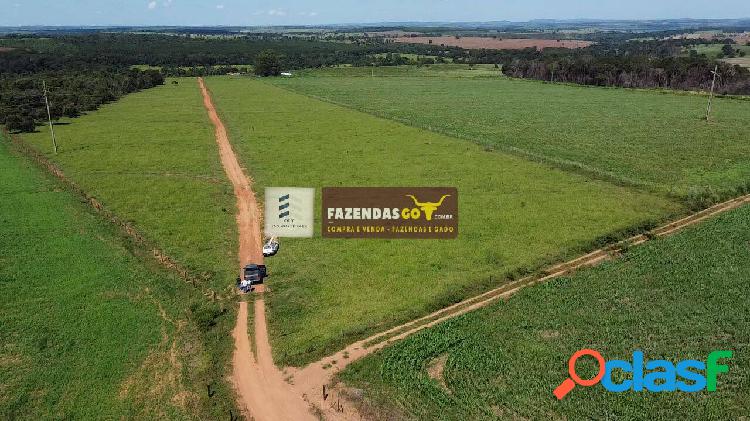 Fazenda entre Bela Vista e Goiânia ! 20 alqueires !