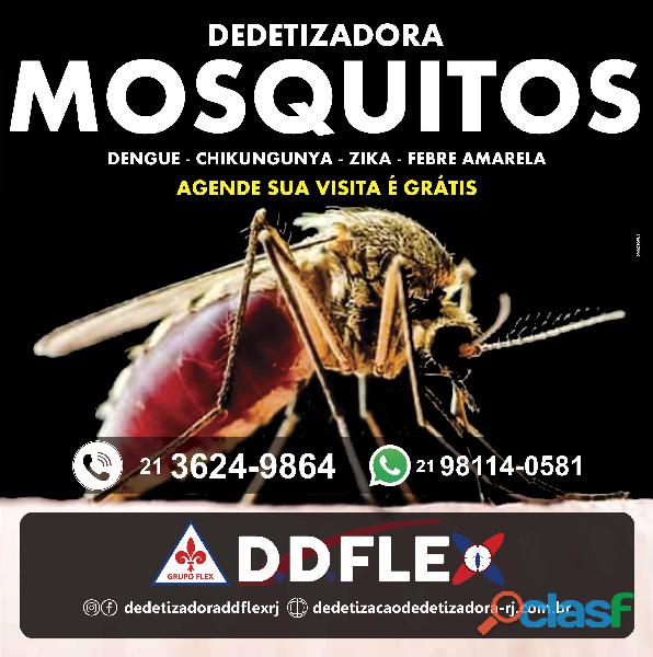 Dedetizadora de Mosquitos Nova Friburgo