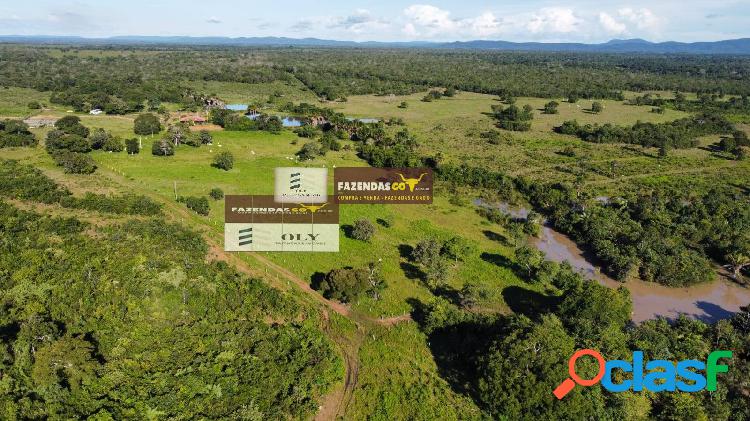 Fazenda de 82 alqueires !