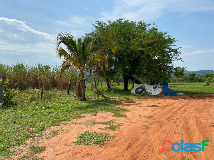 Oportunidade de negócio - Chácara 12 hectares