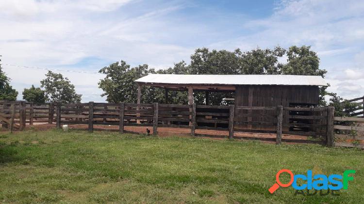 Fazenda de Gado, Piratininga, Nova Ubiratã MT