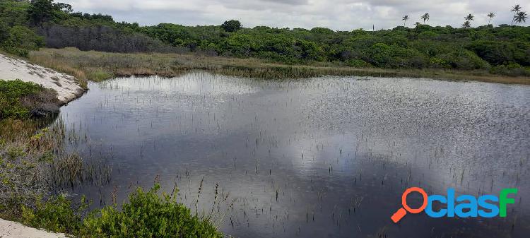 LINDOS LOTES DE 600M² NA BEIRA DO MAR