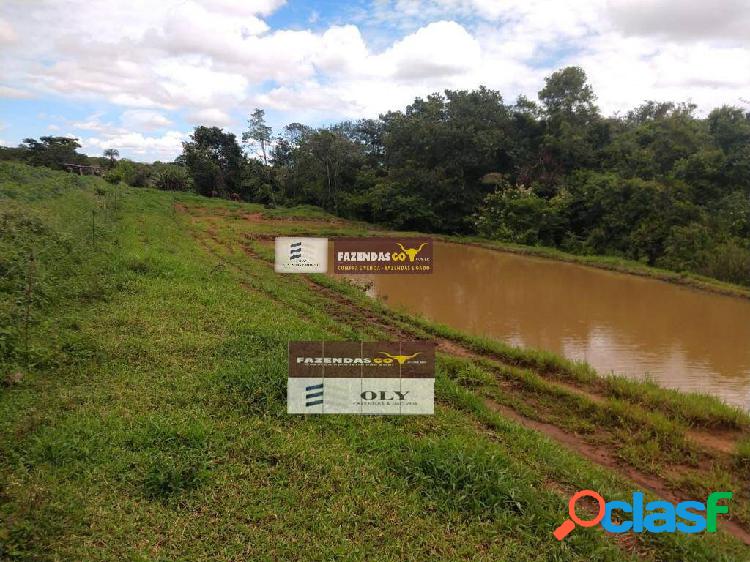 Chácara de Oportunidade- Toda formada - em Vianópolis ! 12