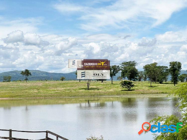 Fazenda Em Flores de Goiás ! 265 Alqueires ! OPORTUNIDADE