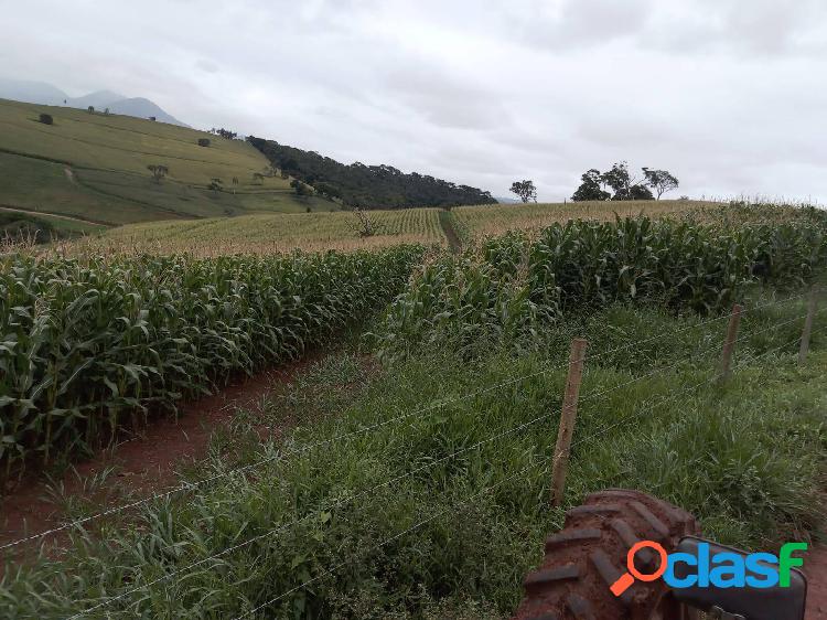 Fazenda a venda no sul de minas gerais