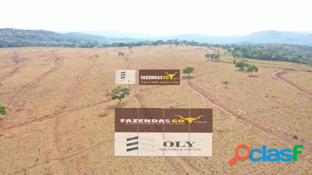 Fazenda de Oportunidade ! 68 Alqueires ! Região Rianapolis