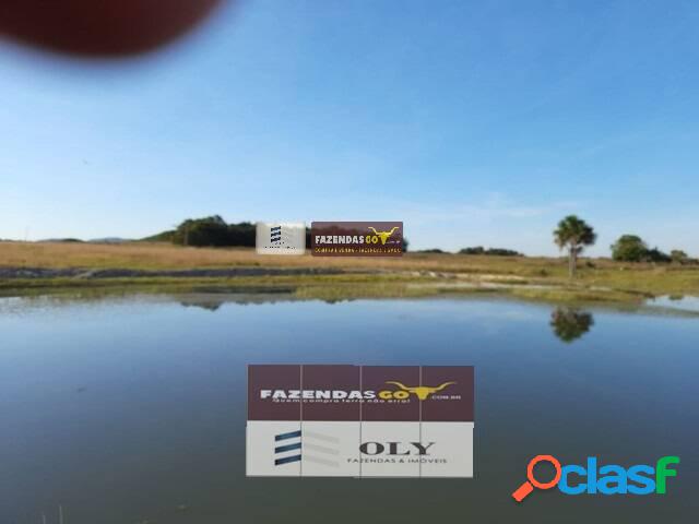 Fazenda de Oportunidade em Crixas-GO com Mozarlândia-GO.
