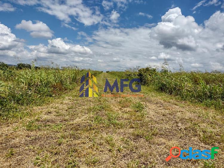 Vende-se sítio com 9.5 alqueire na cidade de Carlópolis PR