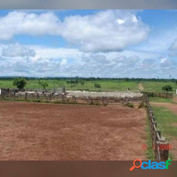 FAZENDA COM 150 mil HECTARES NO ESTADO DE MATO GROSSO