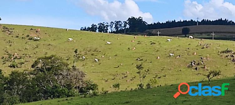 Fazenda com 14 alqueires em Pilar do Sul