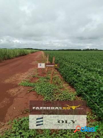 EXCELENTE OPORTUNIDADE ! FAZENDA DE 21 ALQUEIRES - Região