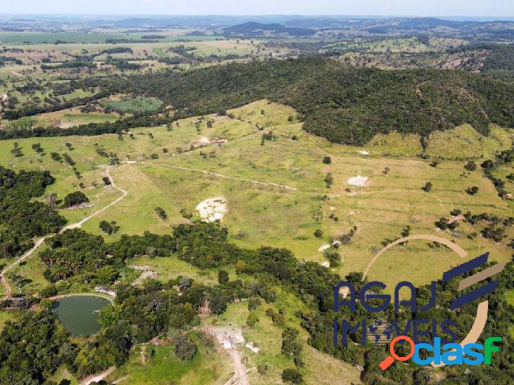 FAZENDA EM PONTALINA-GO | 10 ALQ | PECUÁRIA