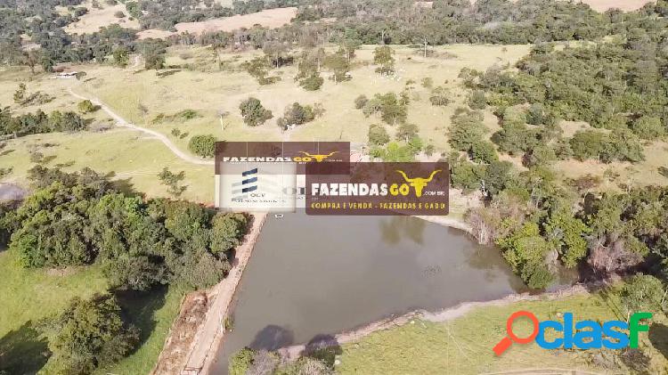 Fazenda de Oportunidade - Região de Itaberai-GO. São 60